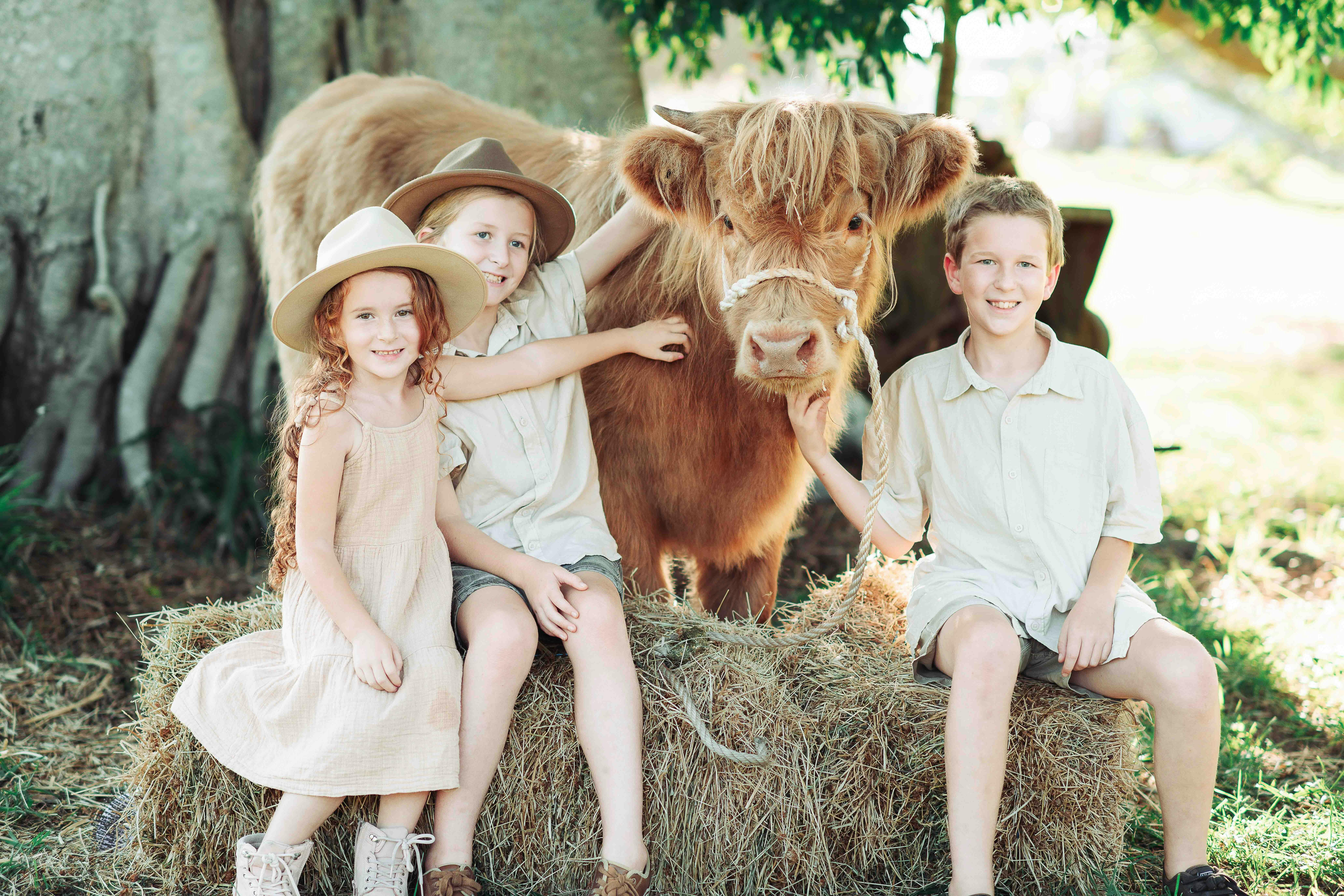 Three young children pose with a young Highland cow