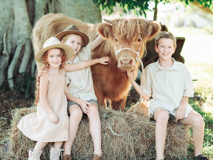 Three young children pose with a young Highland cow