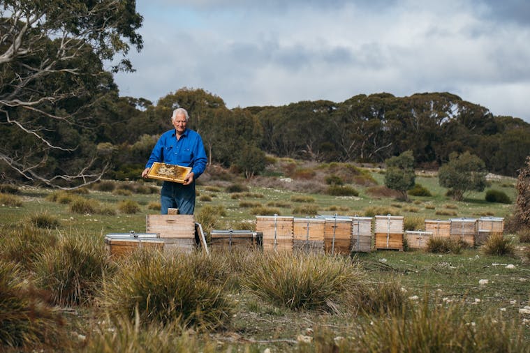 Island Beehive