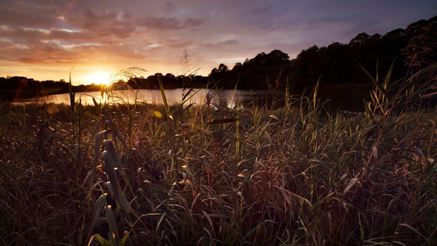 Spring Creek Wetlands