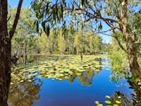 Rossville Retreat dam