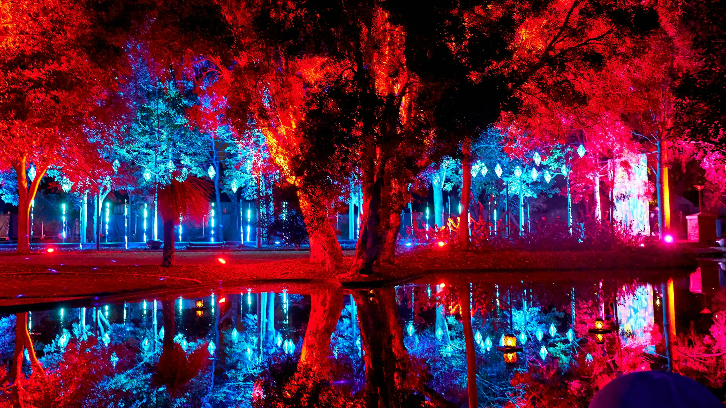 Red and blue illuminated trees reflect in the lake in front