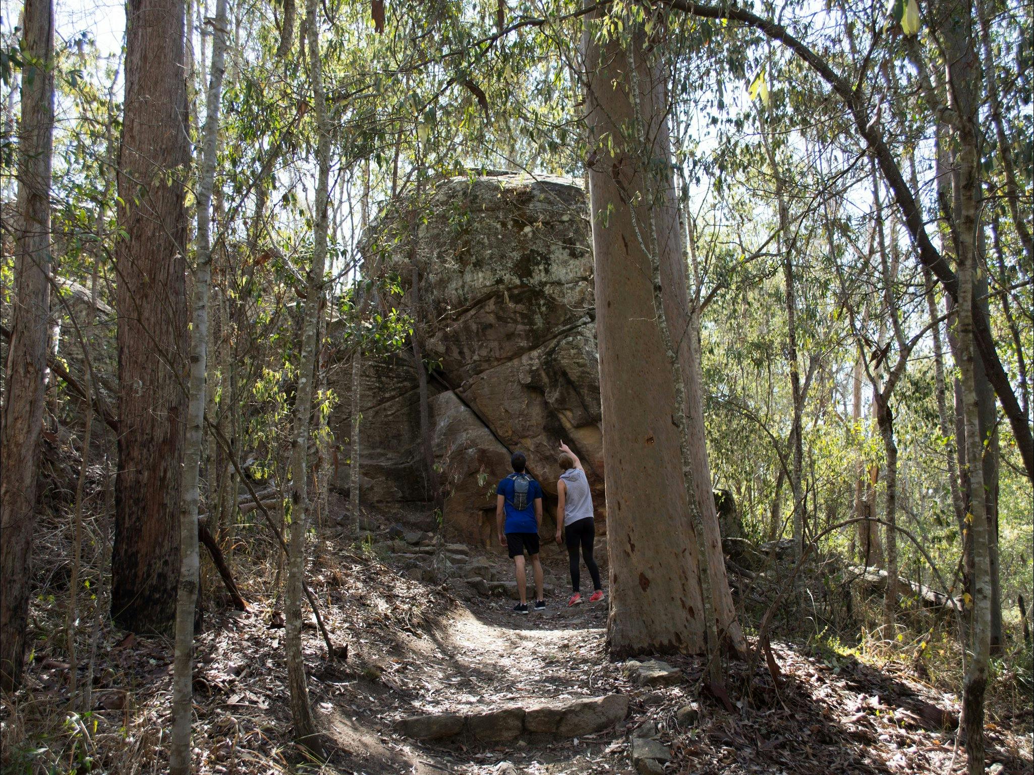 Six Mile Creek, Bluff Lookout and Little White Rock Trails