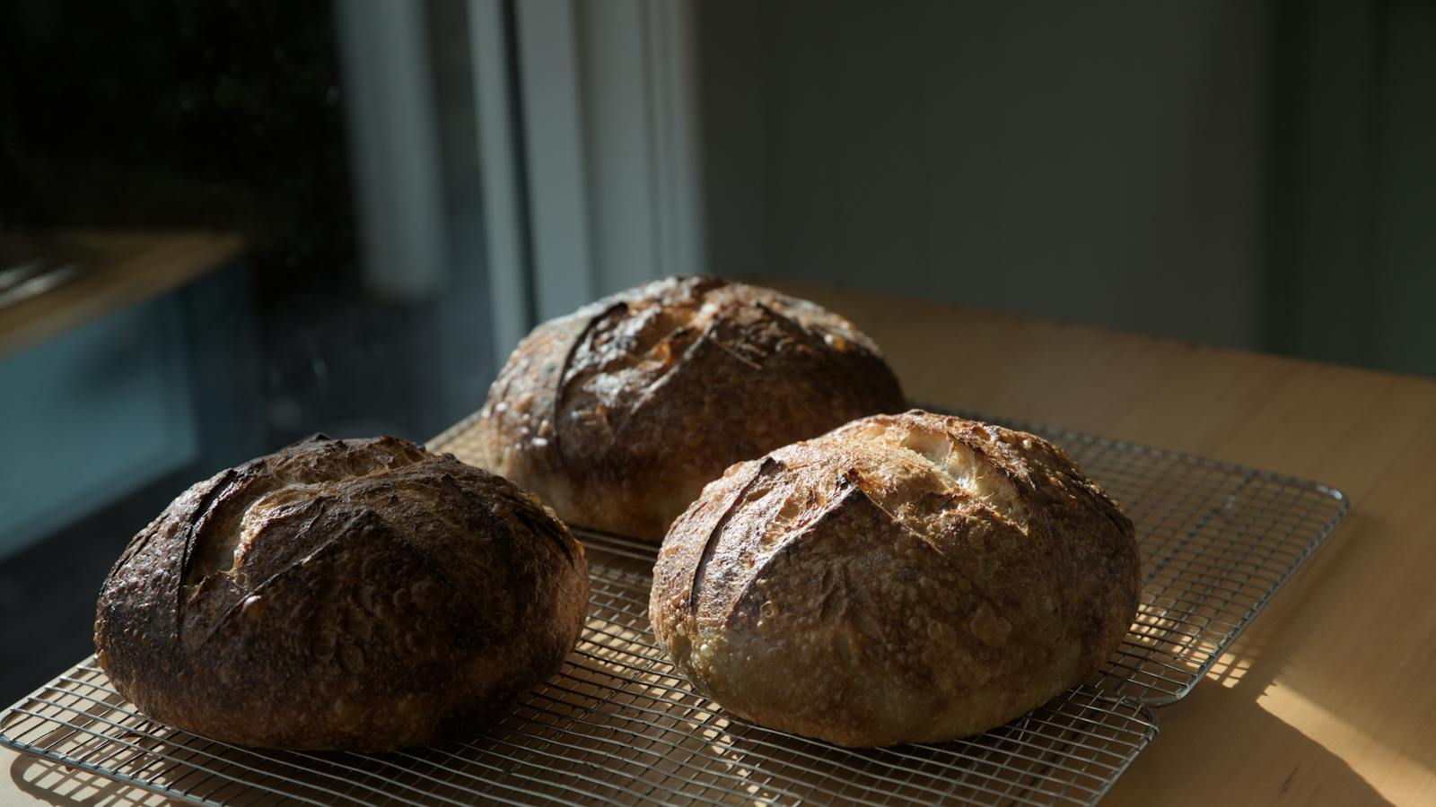Freshly baked sourdough loaves