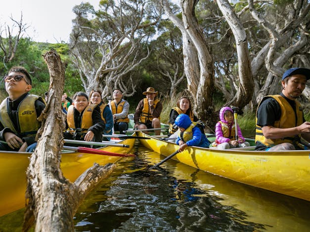 Bushtucker River and Wine Tours