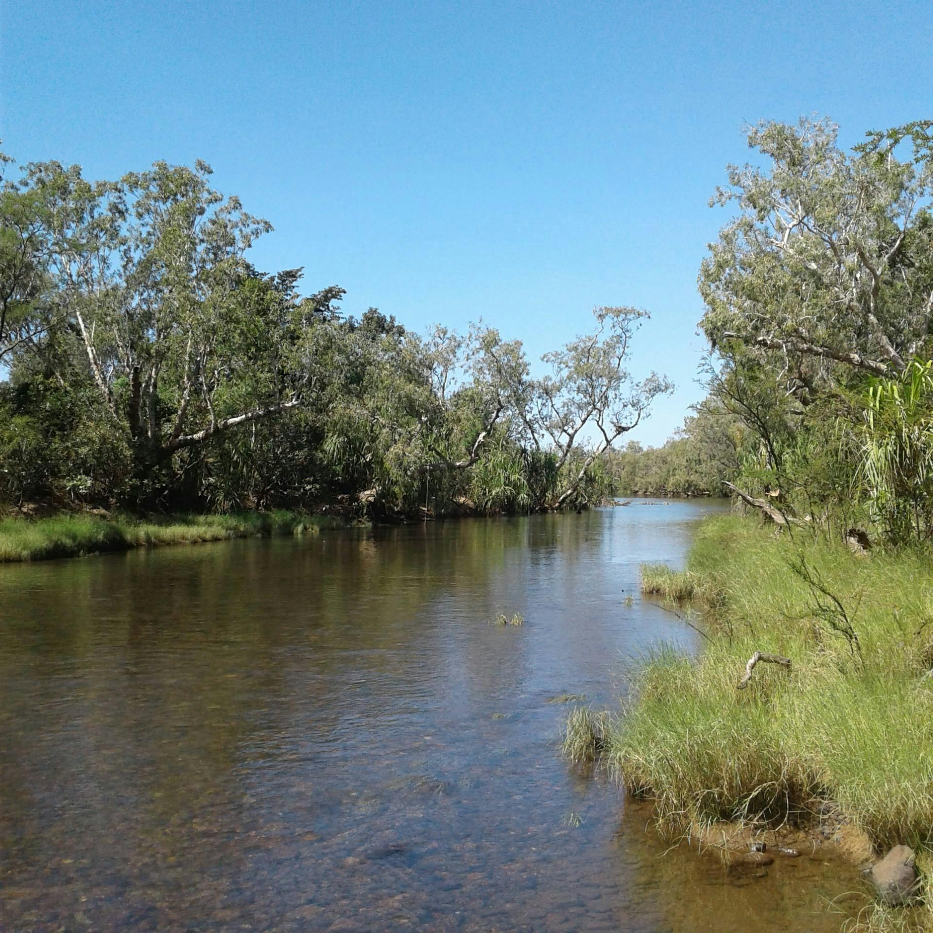 King Edward river