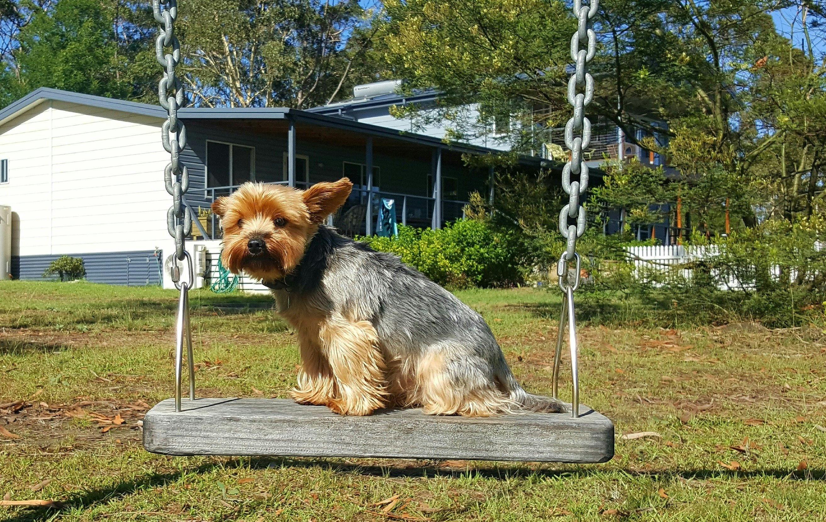 Finchley Bed and Breakfast