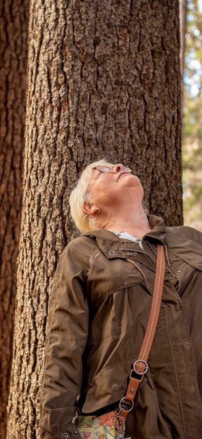 Pine trees abound on the Wellness Walk