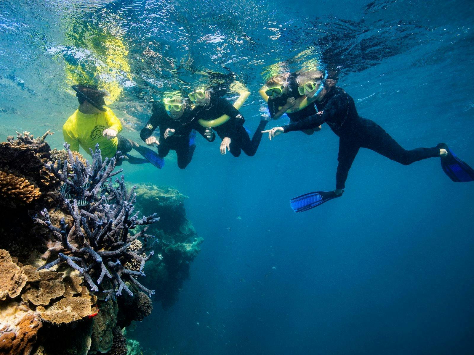 Whitsunday Day Trips - The Tour Specialists