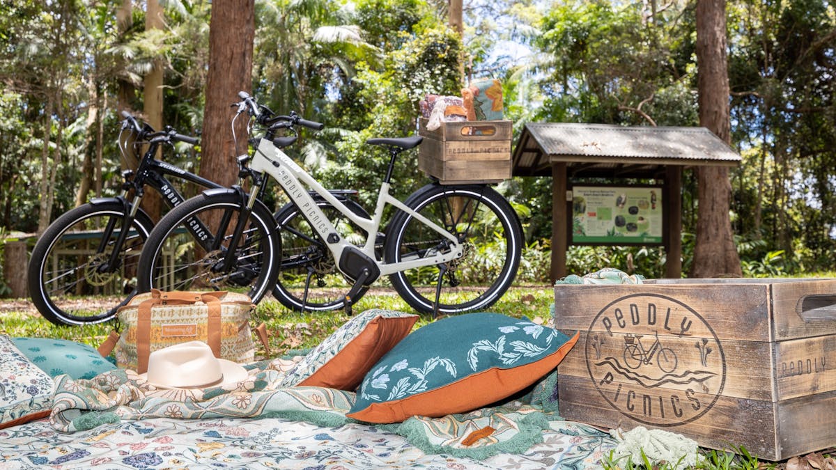 Picnic