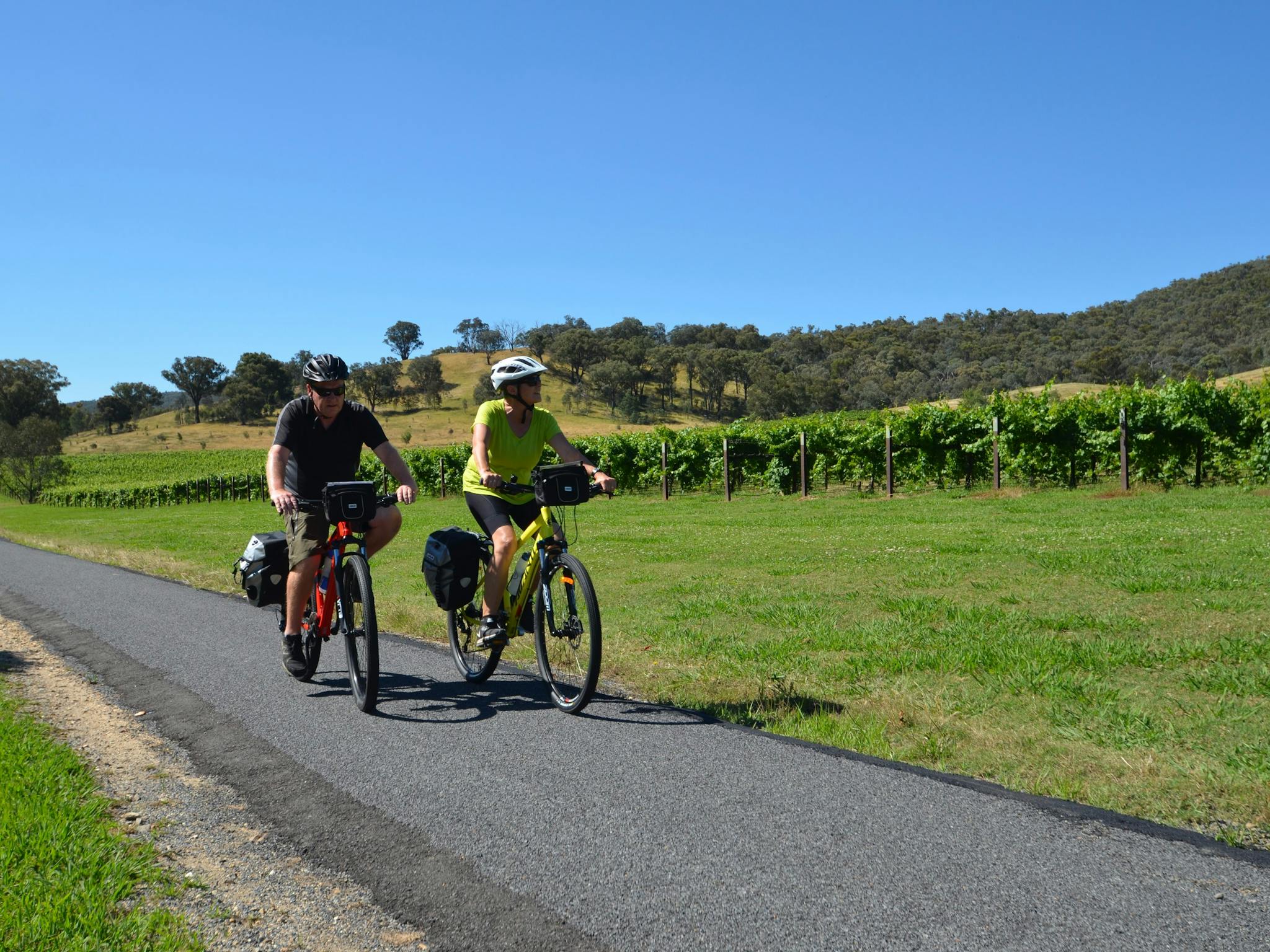 The Bike Hire Company