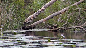 Esk River