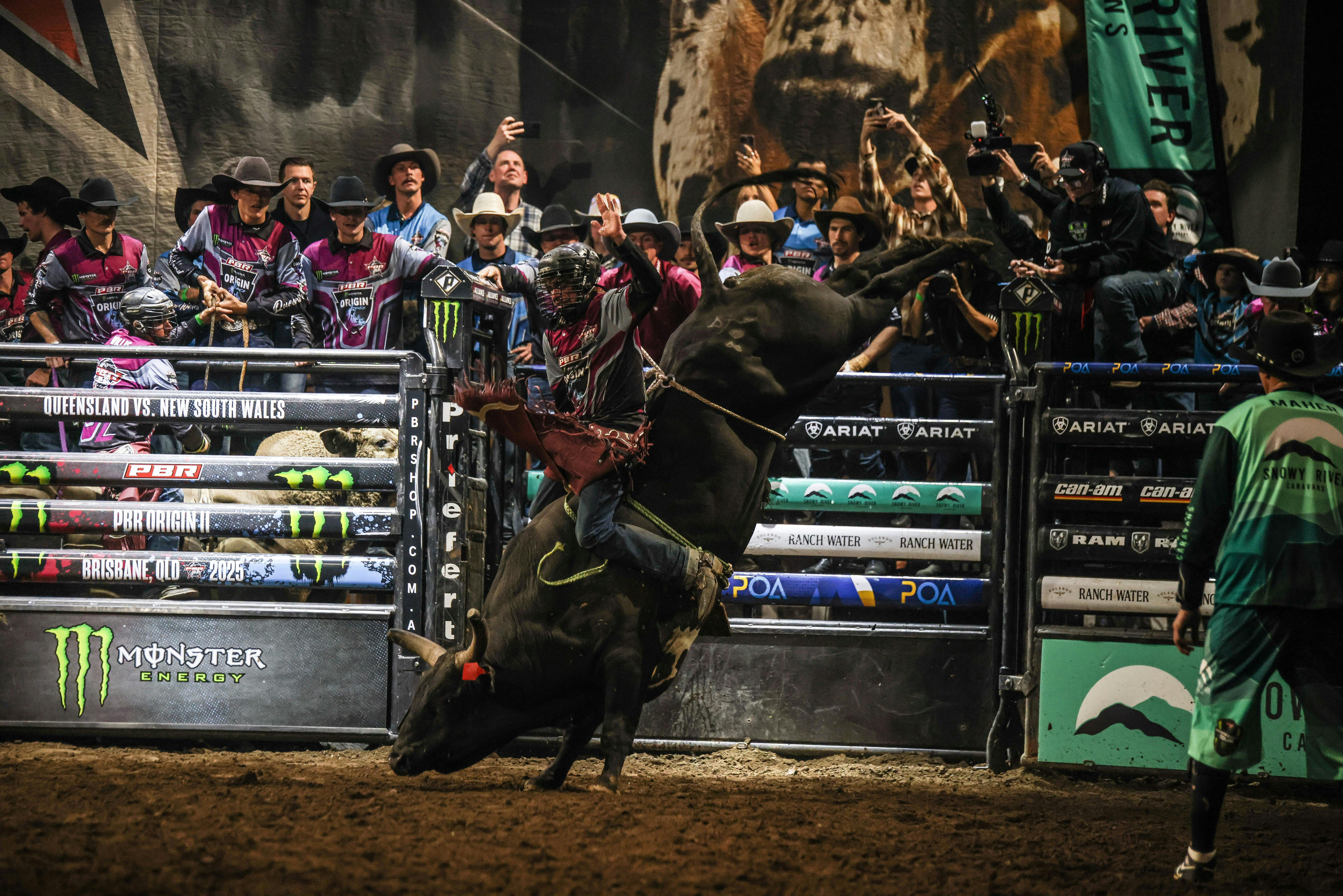 PBR cowboy riding bull