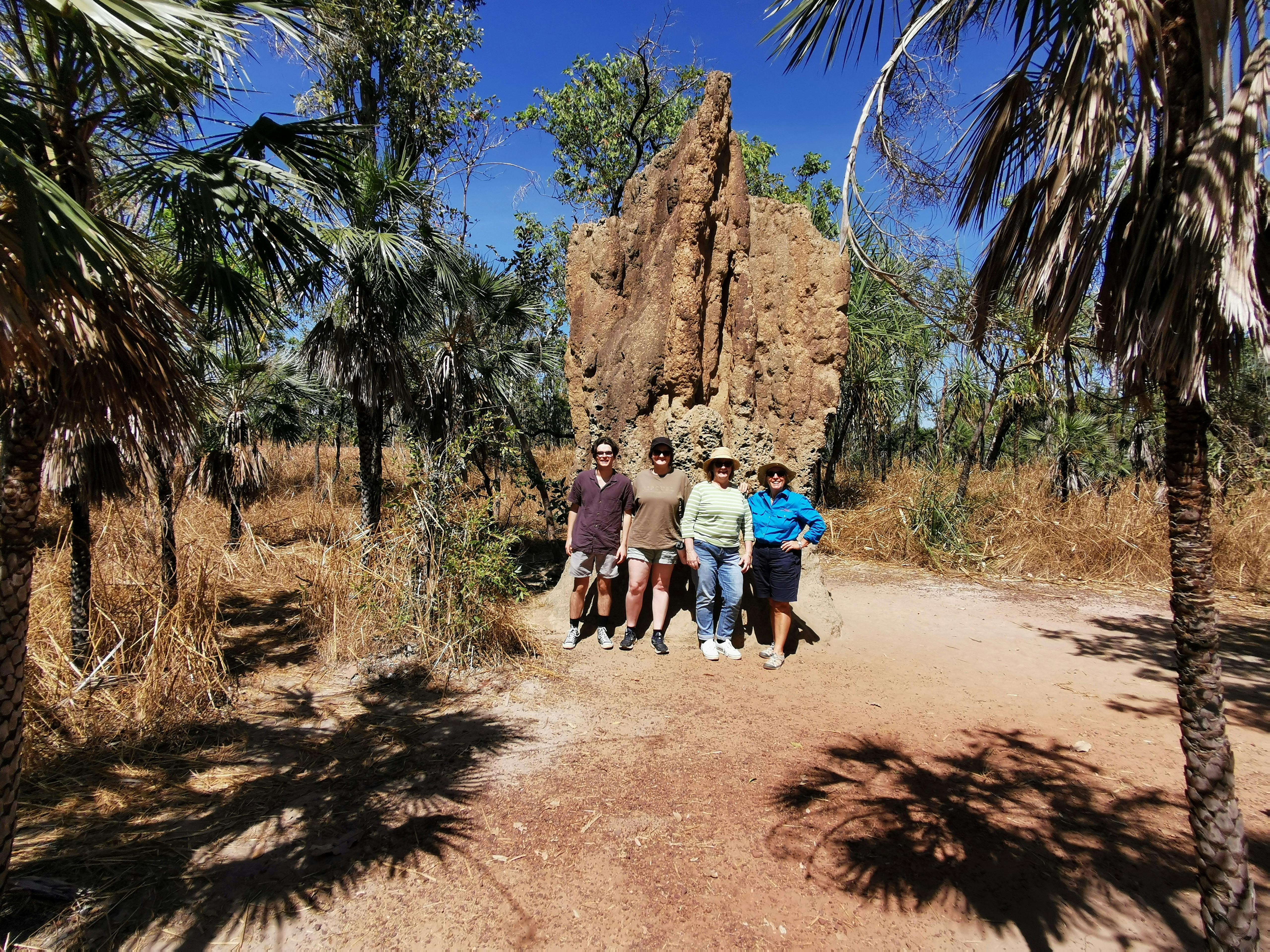 Cathedral Termite Mount