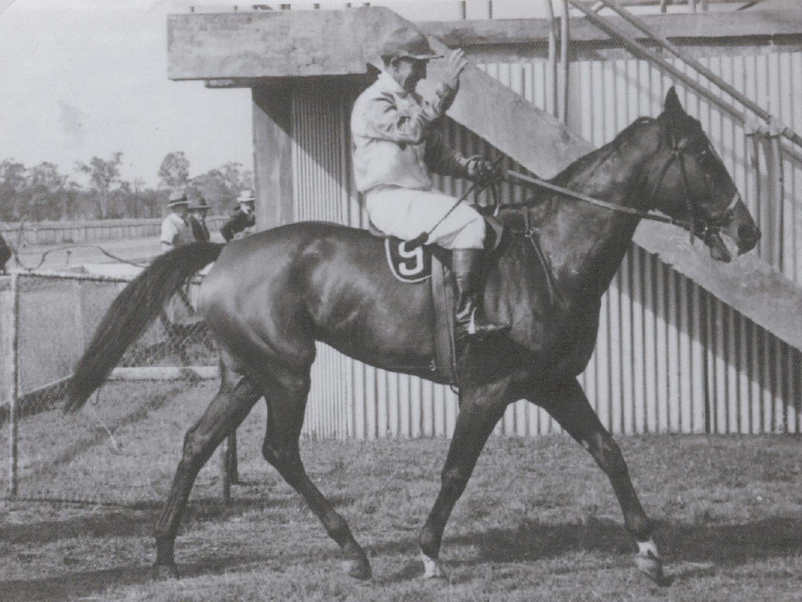 Image for Back on Track - Country Racing Exhibition