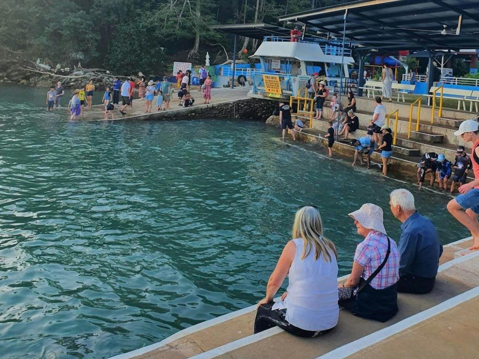 Crowded enjoying the late feeding