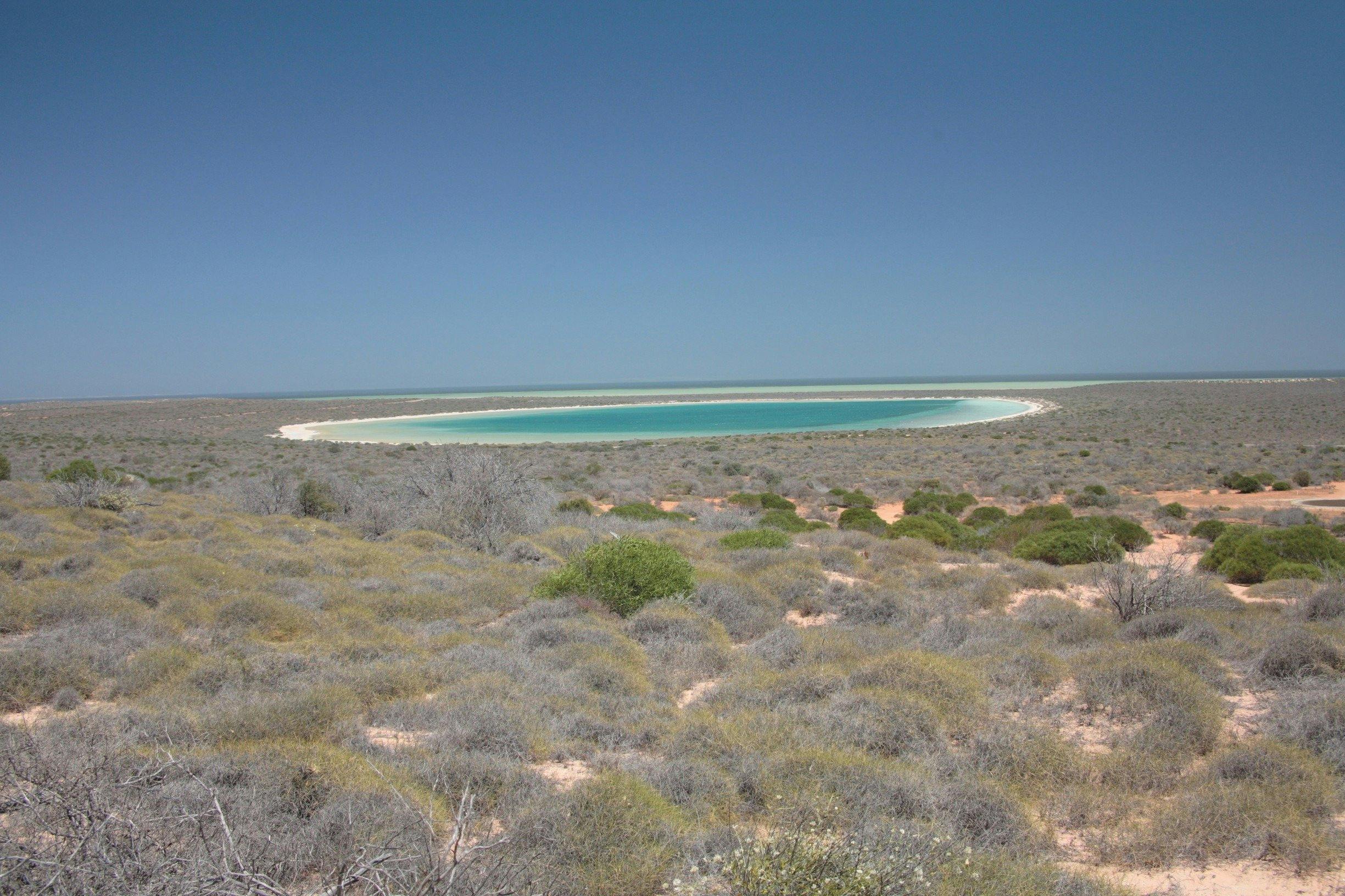 Little Lagoon, Denham, Western Australia