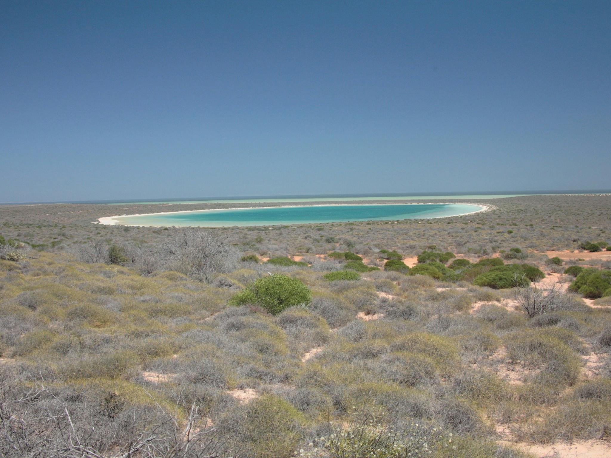 Little Lagoon, Denham, Western Australia