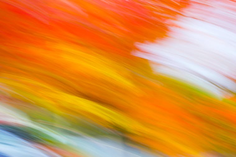 Stirling Autumn Photo Walk (1)