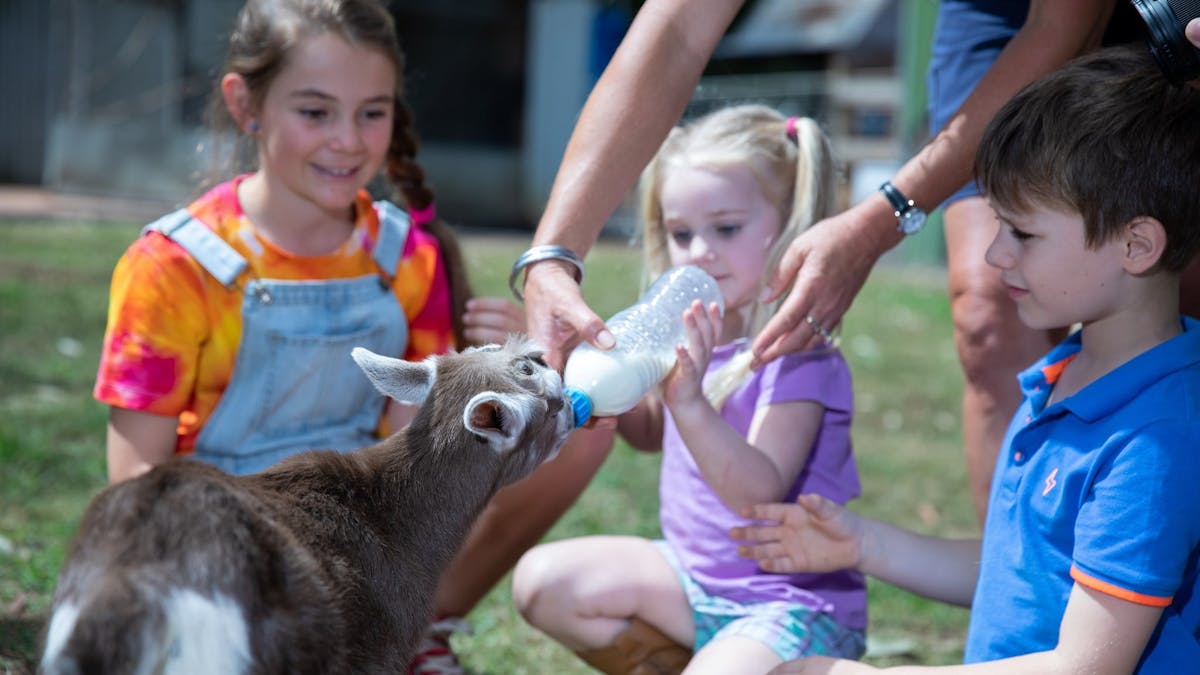 "Children bottle-feeding a baby goat at White Ridge Farm, smiling and enjoying the interactive activ