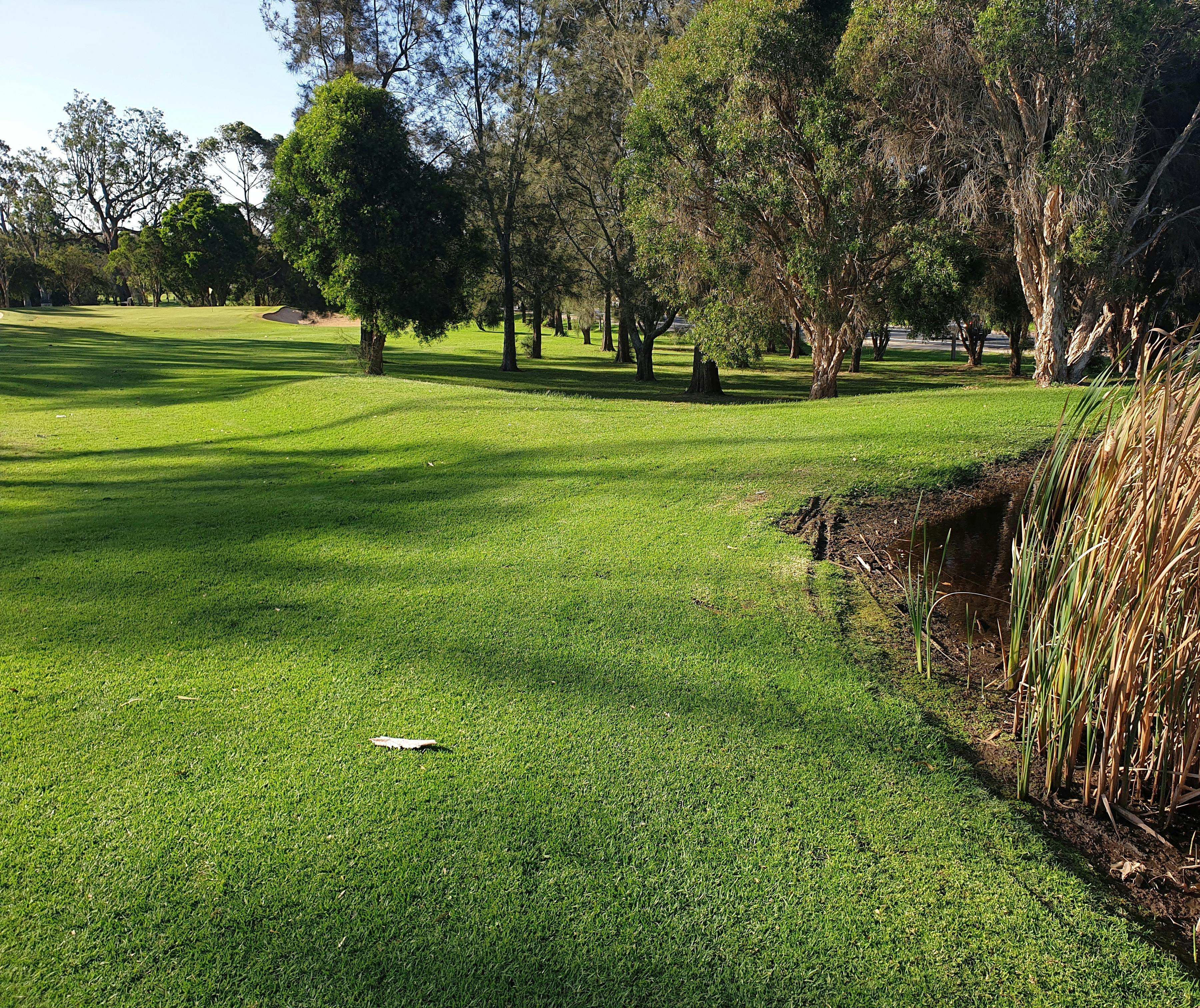 Moruya Golf Club