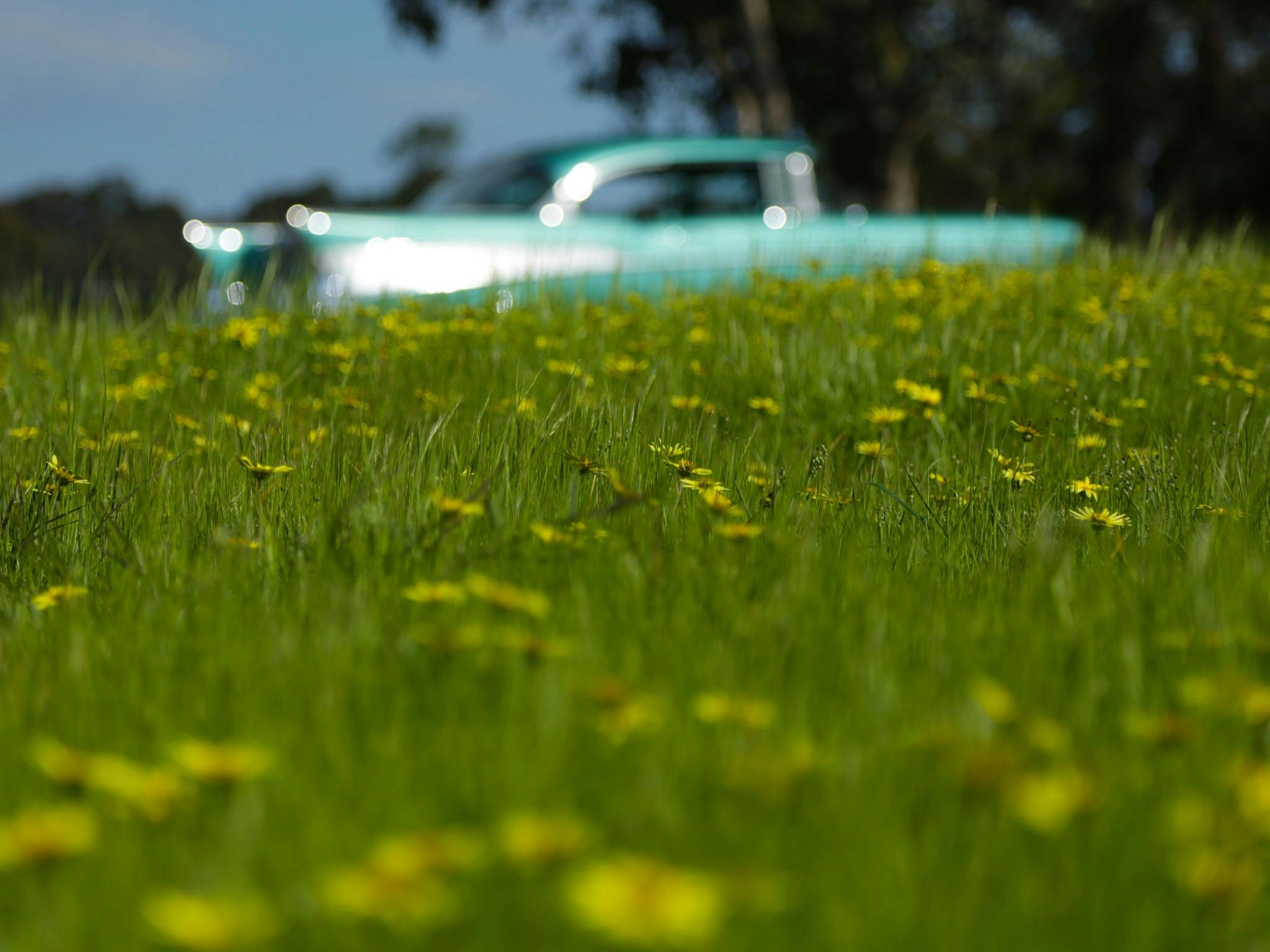 Yarra Valley (East) – '56 Chevrolet Classic Car Private Tour
