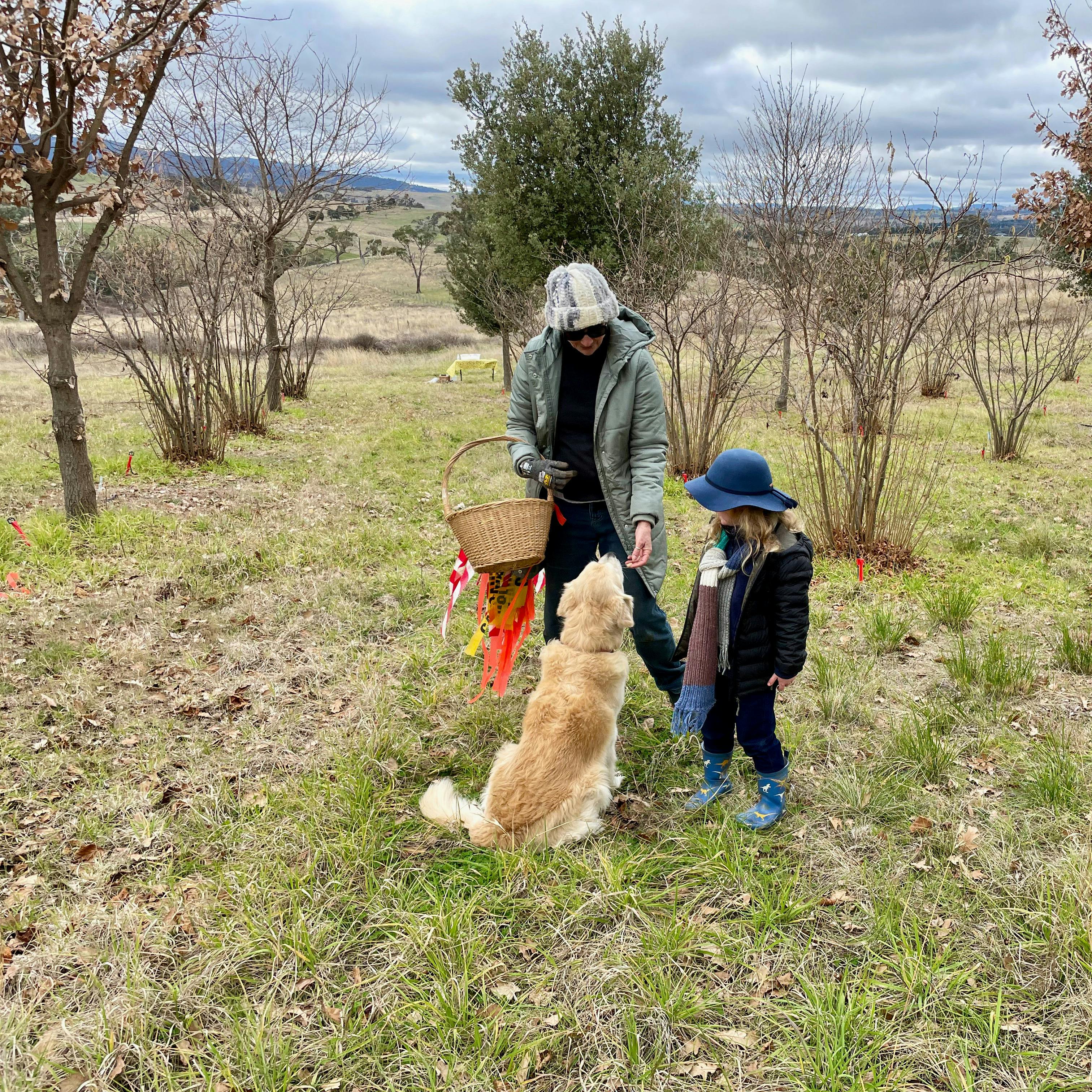 Be Inspired Truffle Hunt Food & Wine Weekend - Truffle Orchard with Truffle Dog