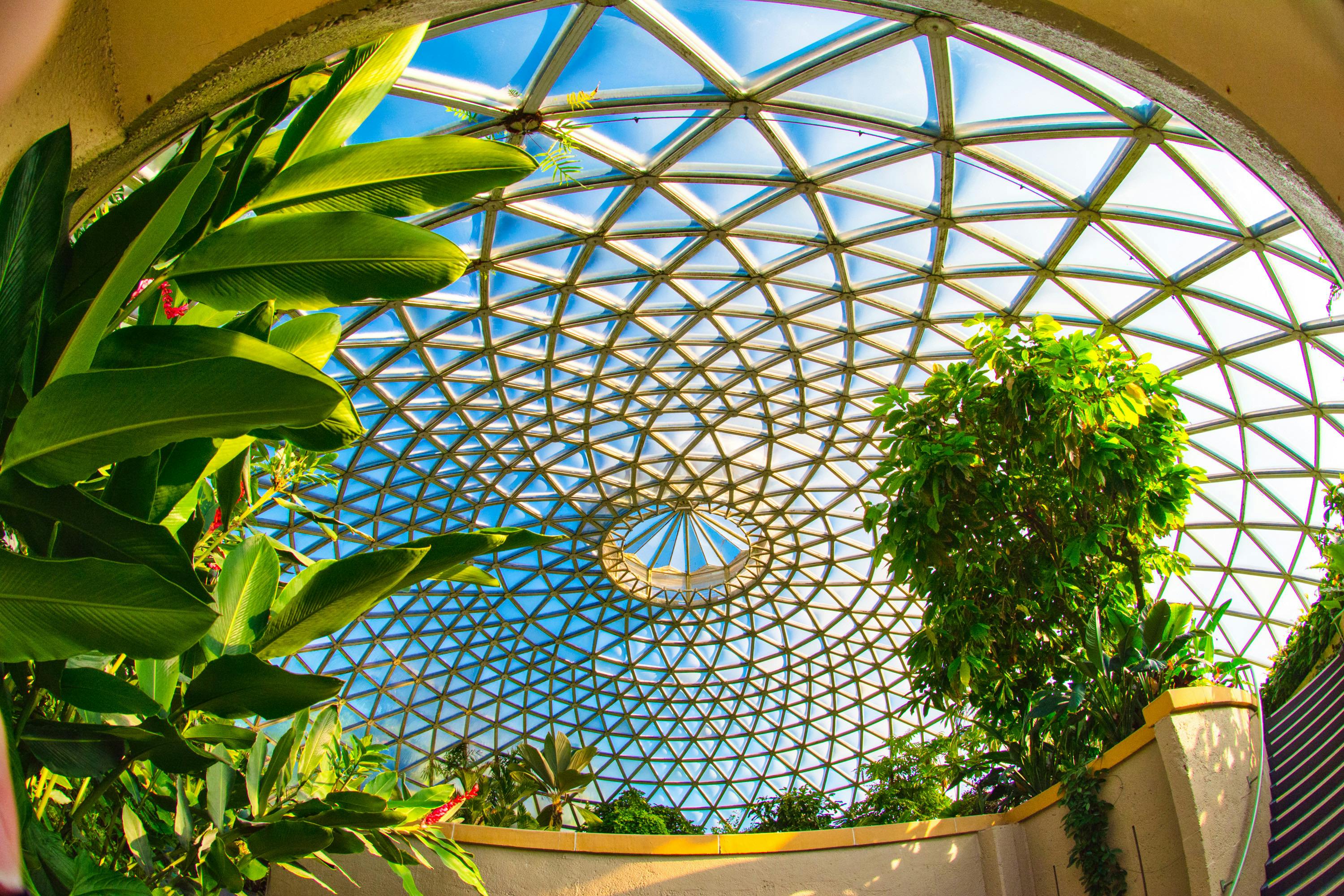 Botanic Gardens dome