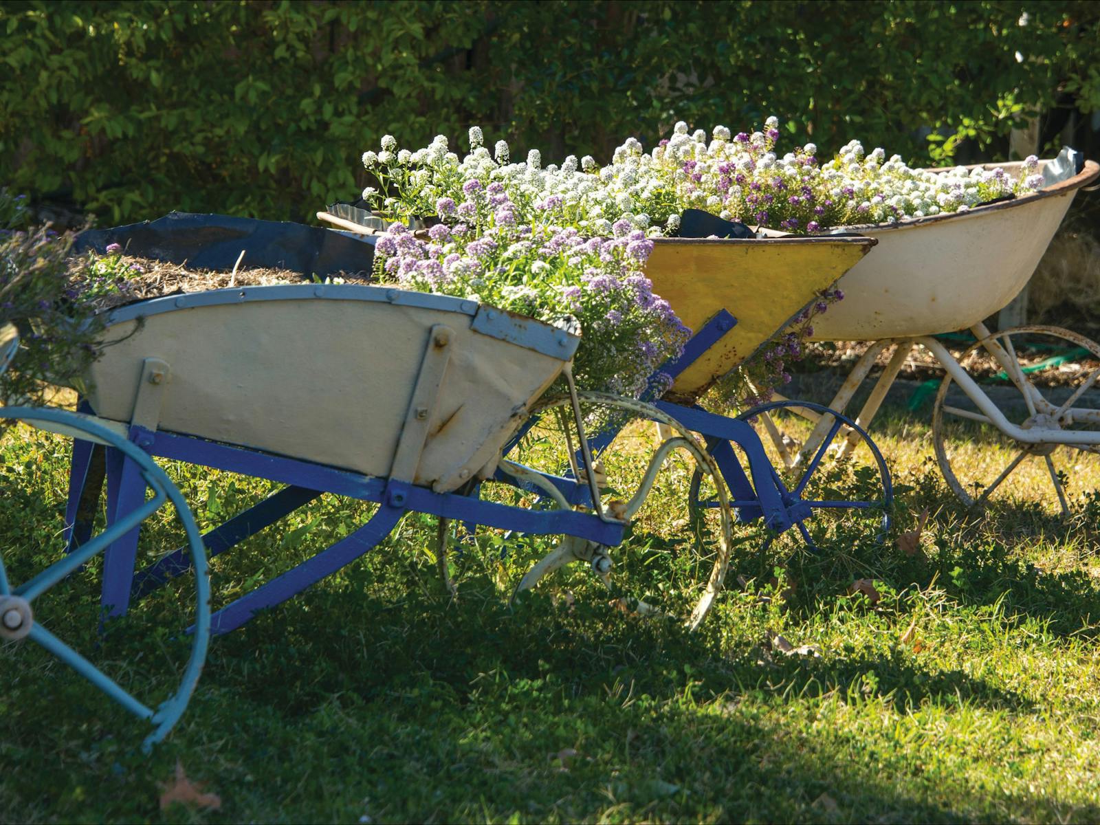 Experience the simple and tranquil beauty of Dalby