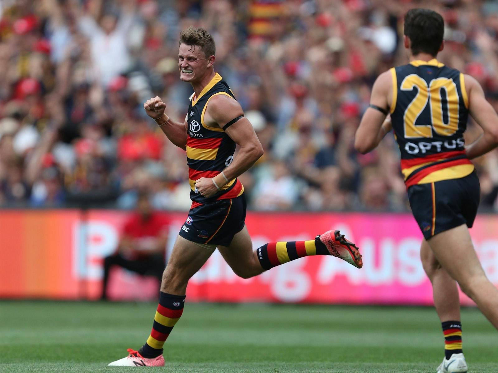Image for Round 22: Adelaide Crows v Collingwood