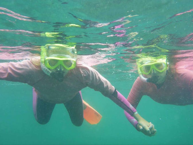 Sea Surf and Wildlife
