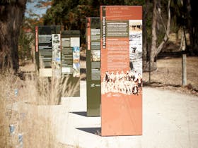Dirt path, huge standing information signs, sunny day, trees.