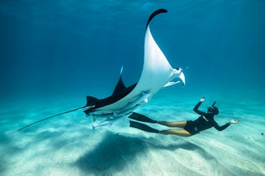 2024 Ocean Film Festival World Tour - Darwin