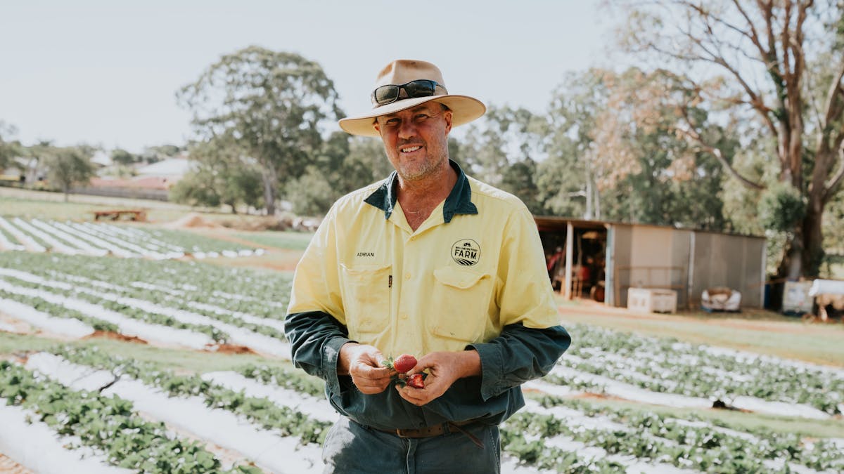 Farmer Adrian in the Strawberry Fields