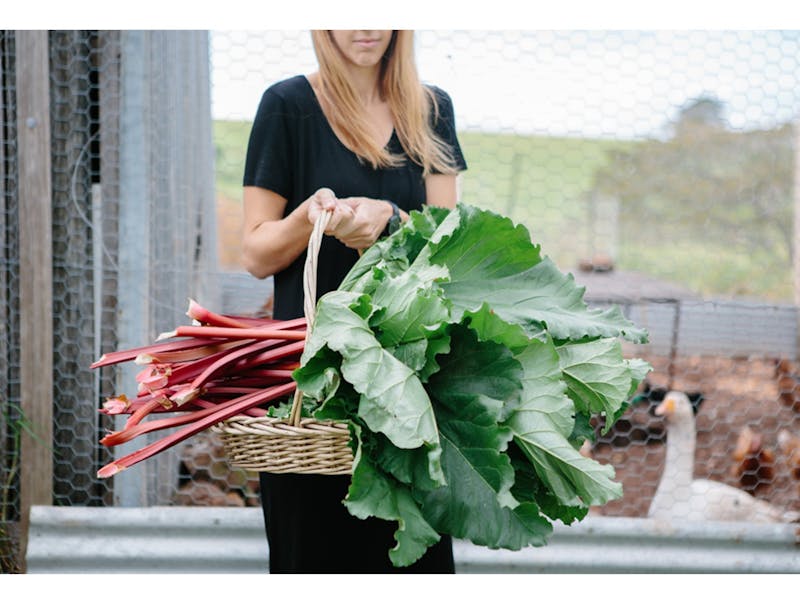 Buena Vista Farm NSW Holidays & Things to Do