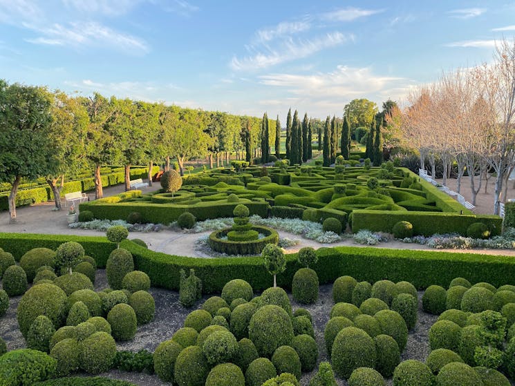 Buxus display