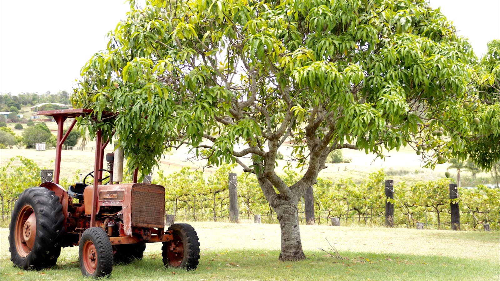 Childers Wine Trail