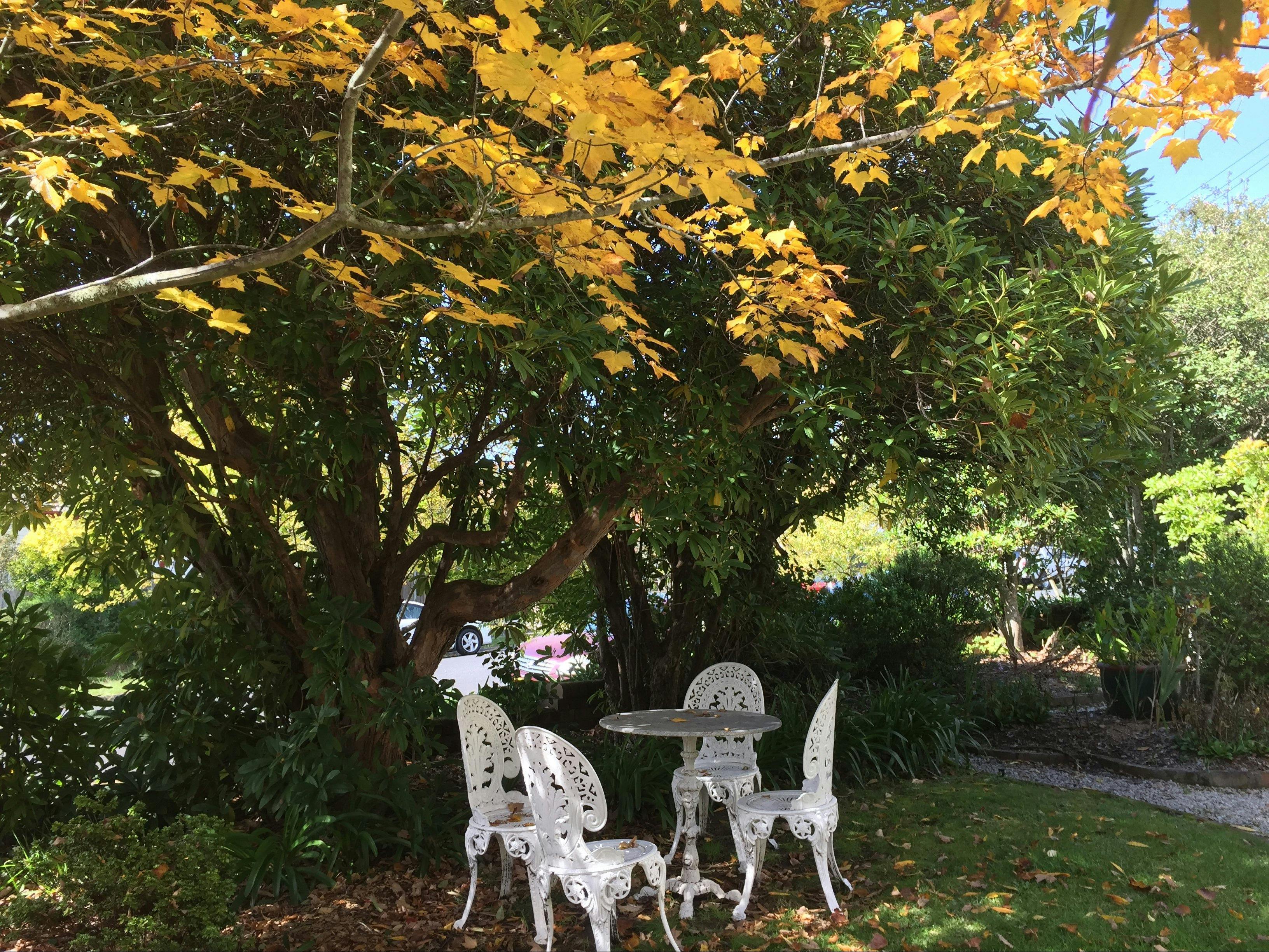 庫拉拉歷史旅館