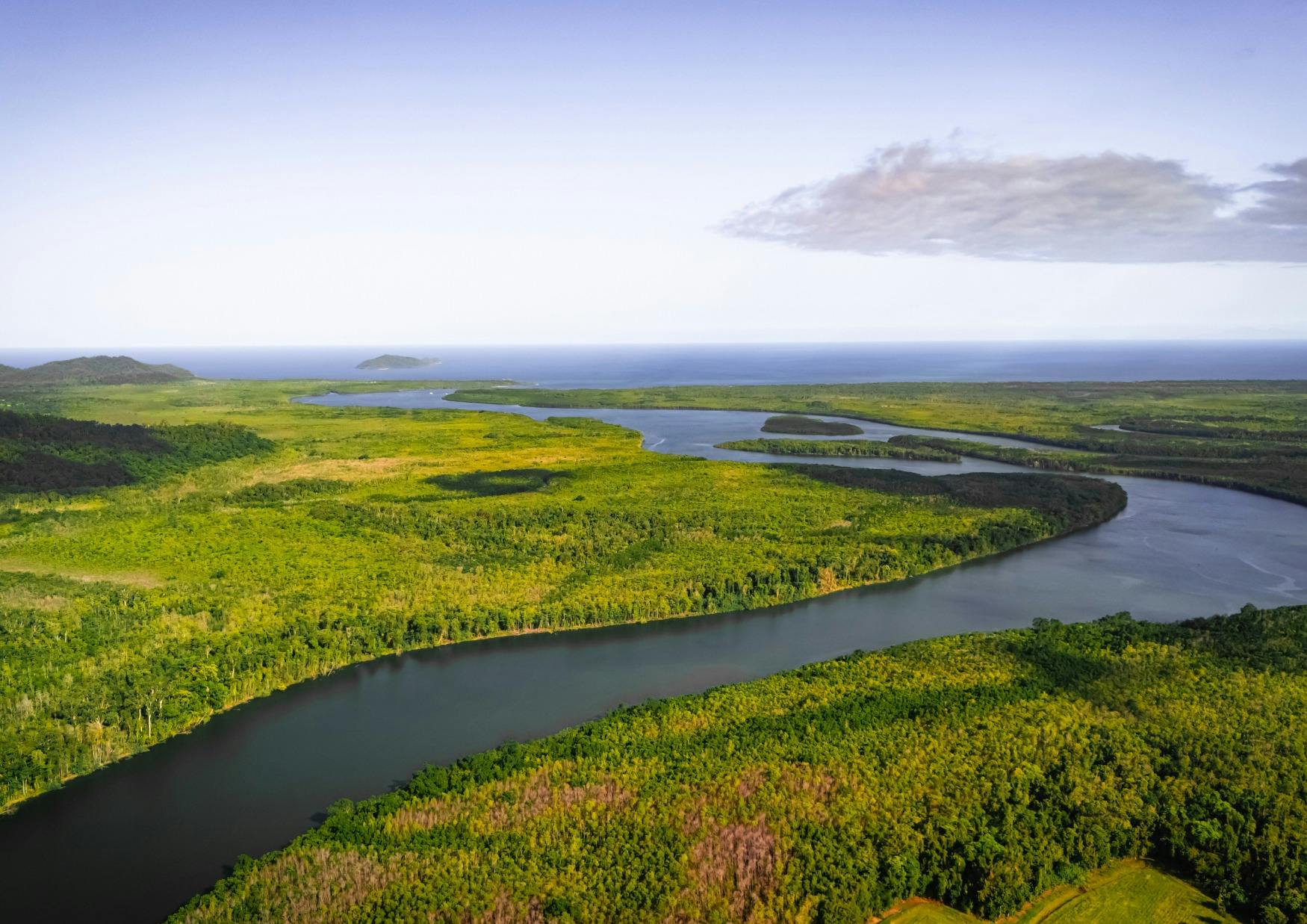 Daintree River
