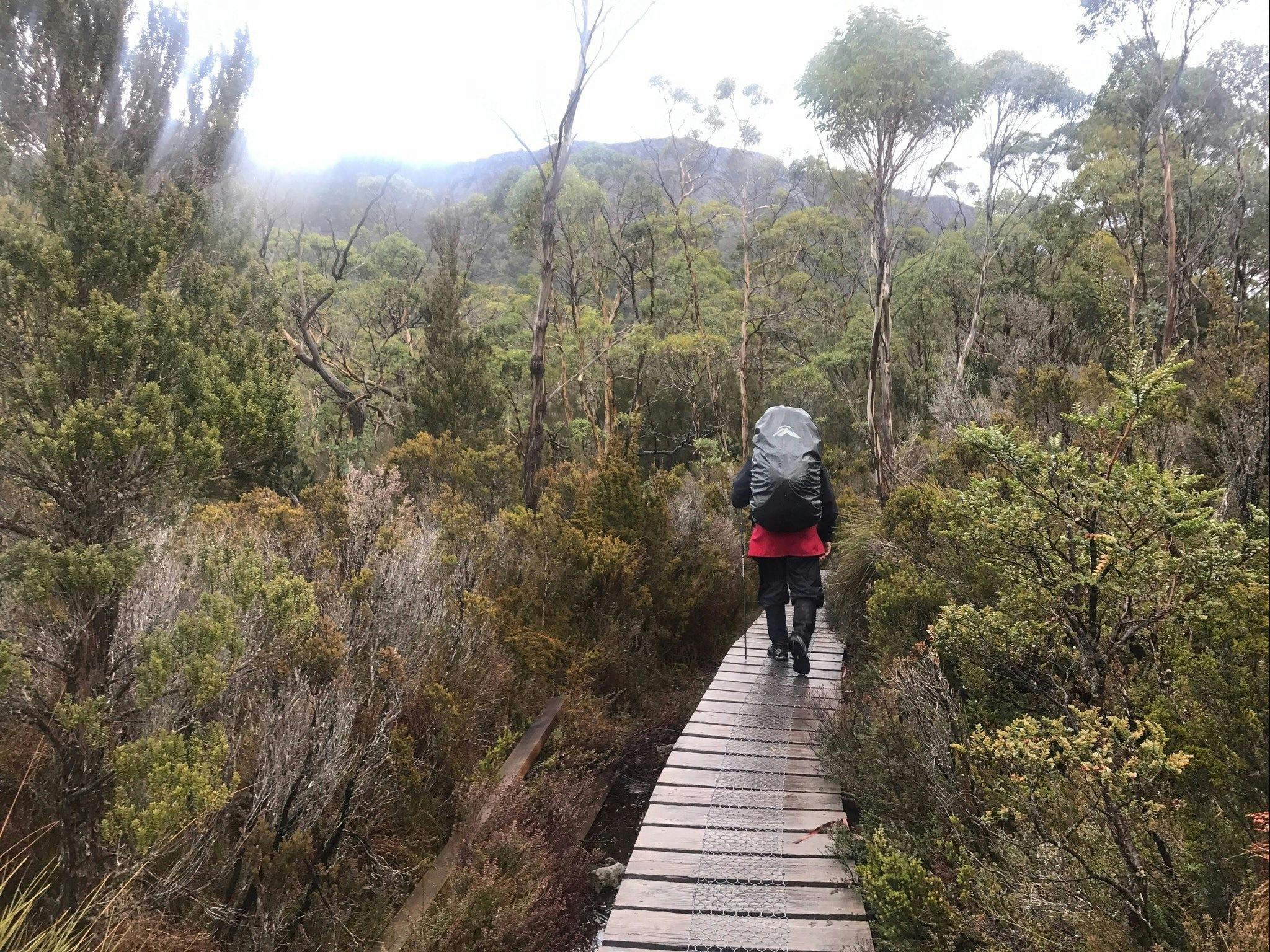 Boardwalk on the Overland Track