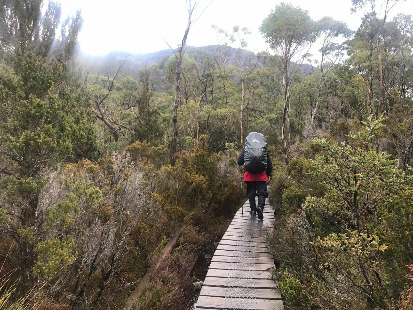 Boardwalk on the Overland Track