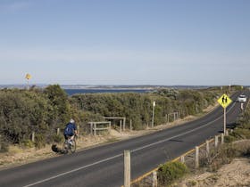 Thirteenth Beach Road, a long straight road the has a bike rider on the left with dunes and beach
