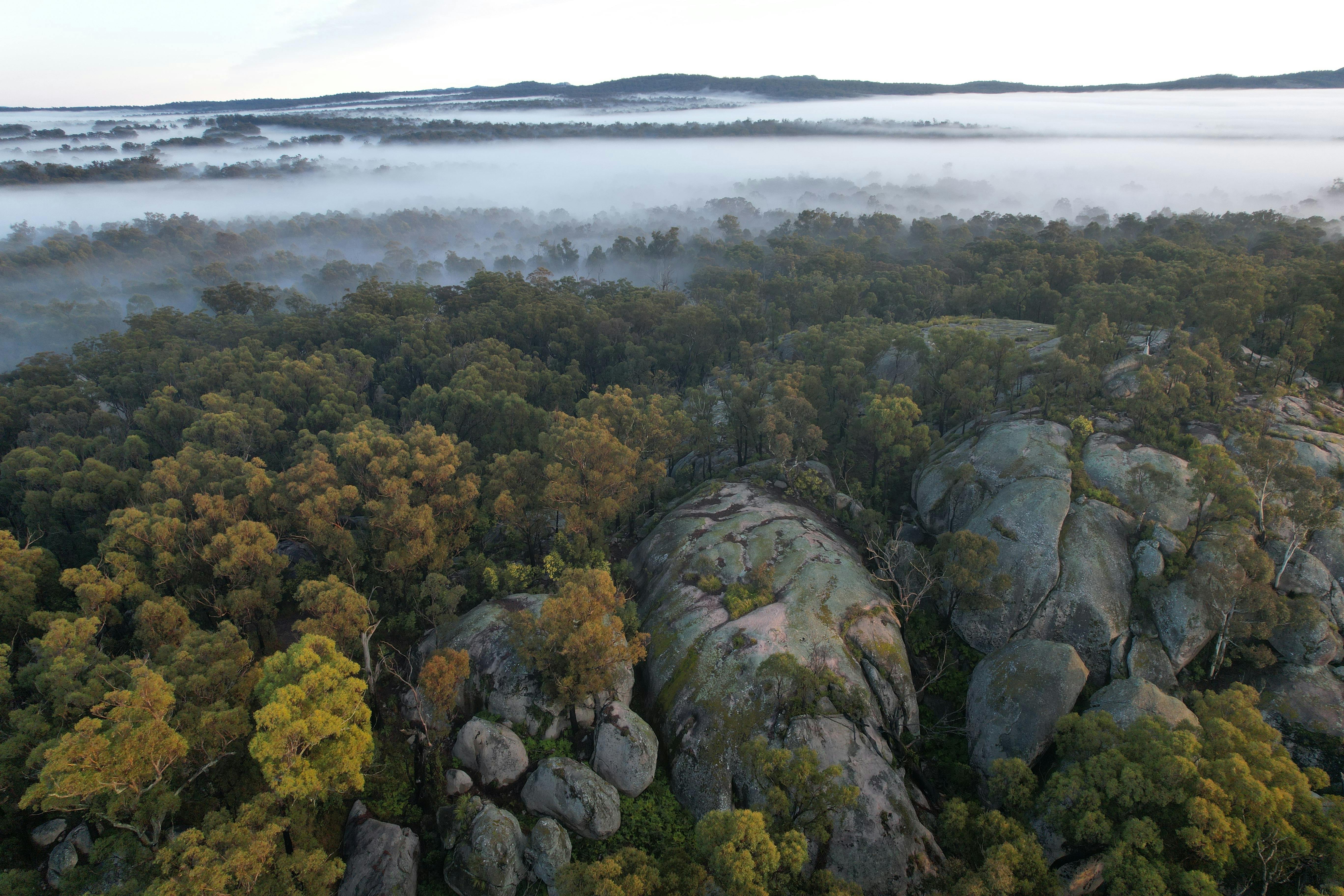 쿼 본사 생태계 투어