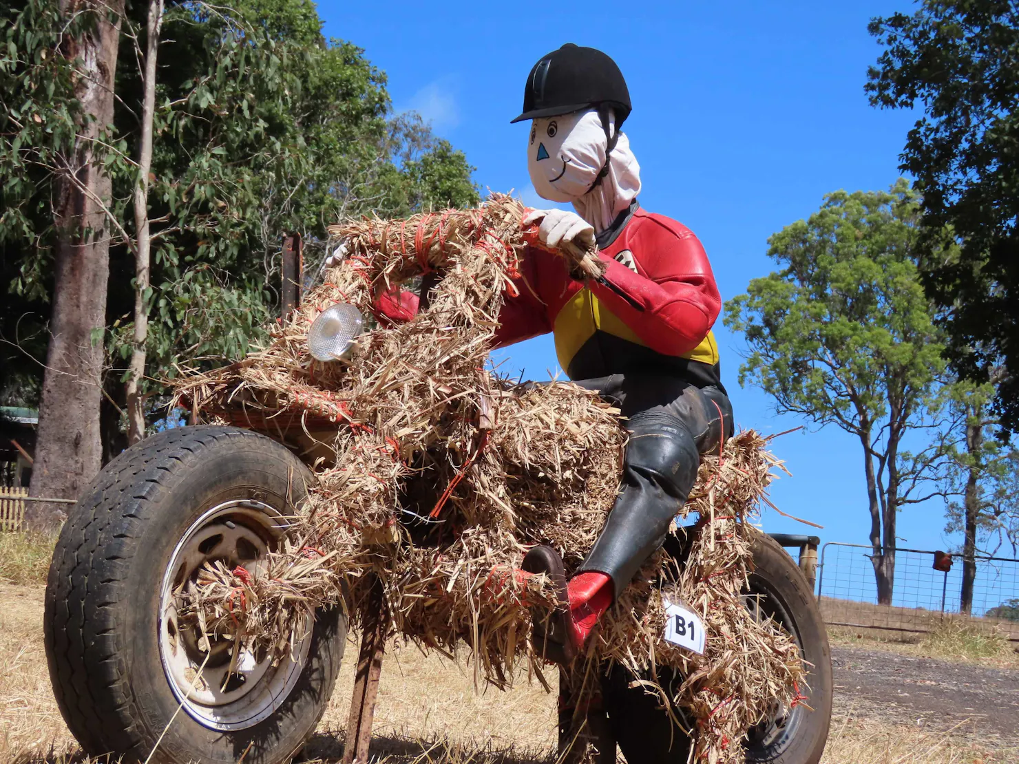 Straw Rider from 2020