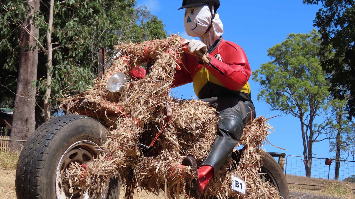 Straw Rider from 2020