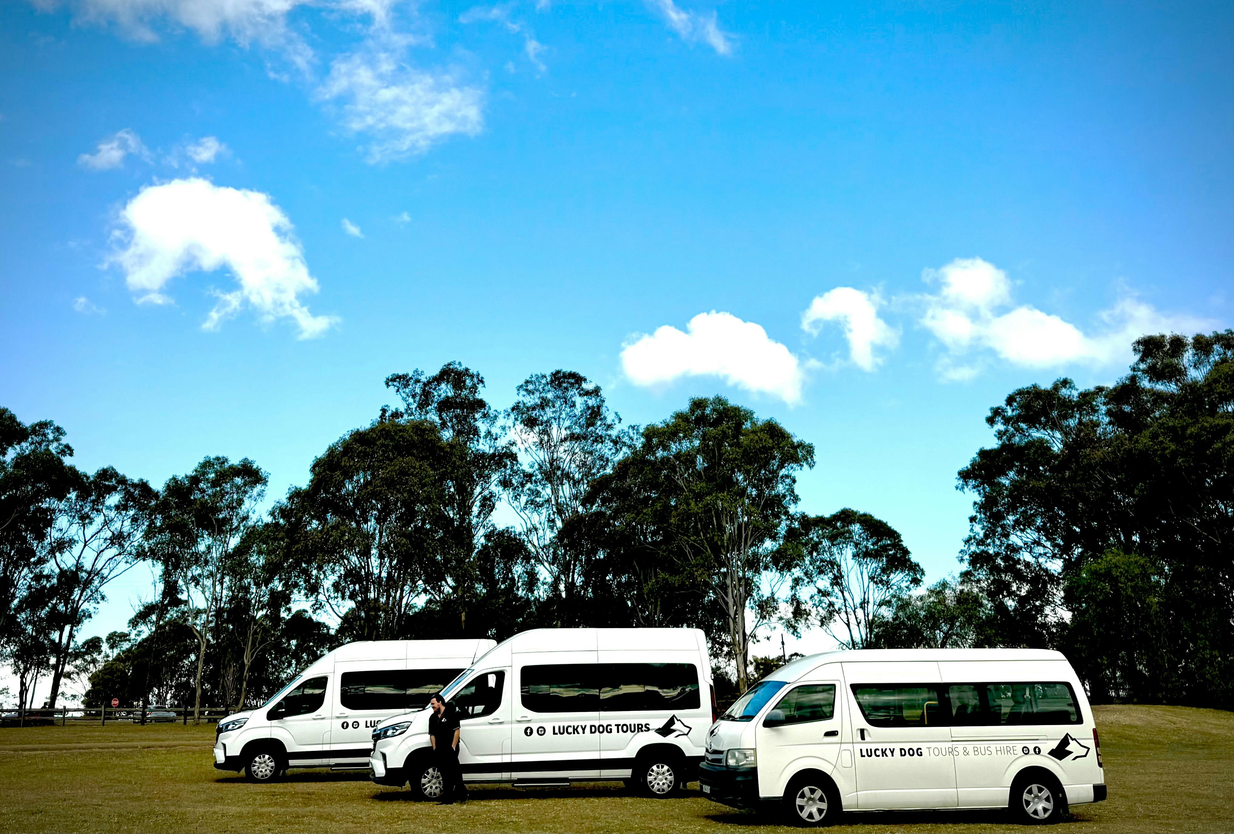 Lucky Dog Tours