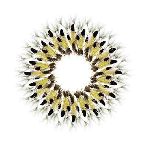 Adelaide Parklands Art Prize Finalists Exhibition Sale 2020