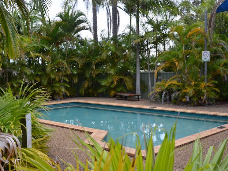 Leisure Tourist Park Swimming Pool