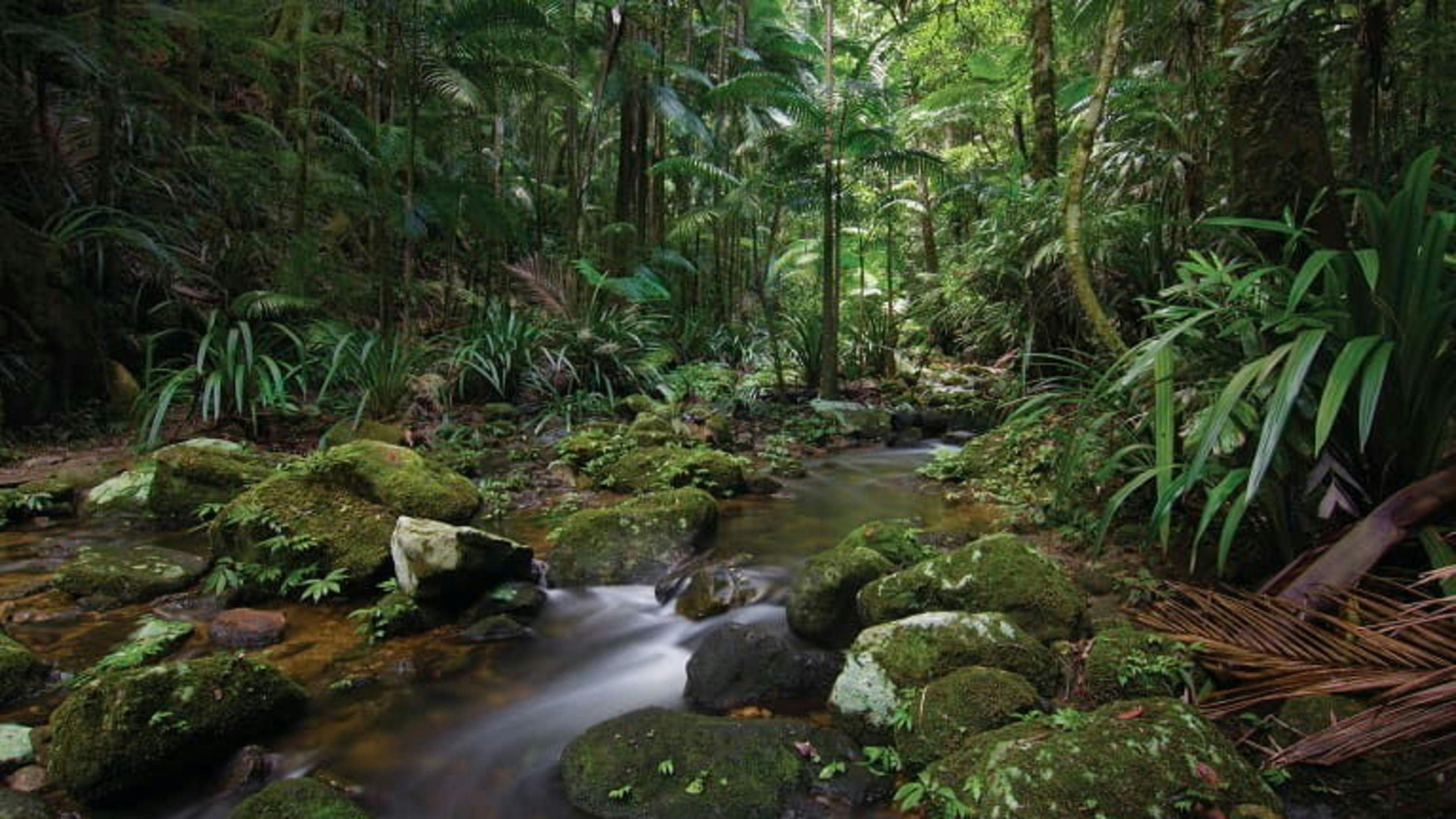 Lumeah By The Creek Near Waterfalls