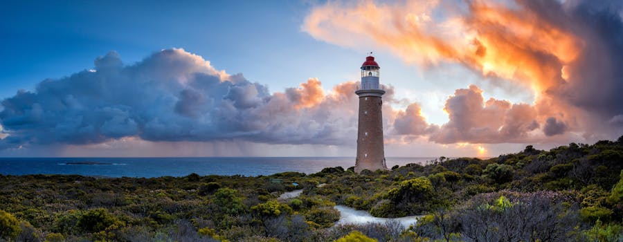 Kangaroo Island Day Tour